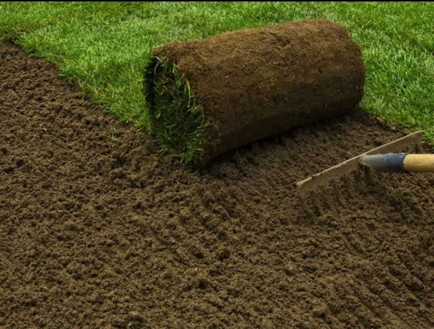 BERMUDA SOD (TIFT419) PALLET